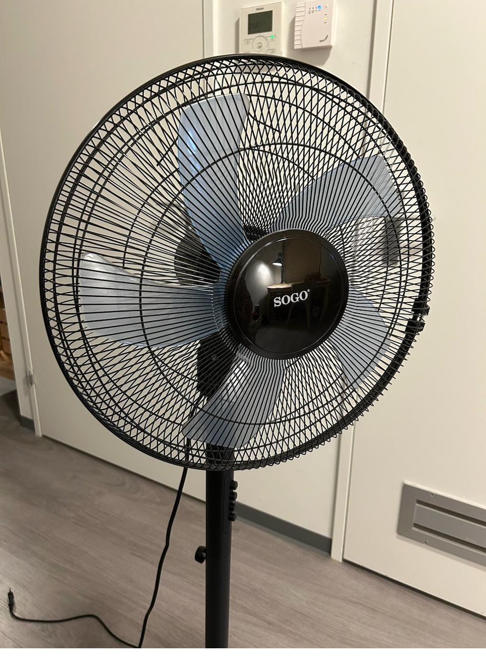 Pedestal Fan